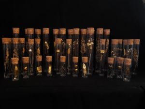 Tubes de végétaux dorés à la feuille d'or à la façon herbier Tubes de végétaux dorés à la feuille d'or à la façon herbier