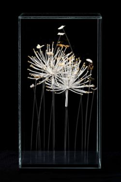 # butinage : 2 agapanthes blanches avec bouts dorés à la feuille d’or & 13 papillons dorés avec 5 couleurs d’or différents (jaune vif, pale, vert, rose et blanc). Sculpture d'gapanthes blanches avec bouts dorés à la feuille d’or & 13 papillons dorés avec 5 couleurs d’or différents (jaune vif, pale, vert, rose et blanc).