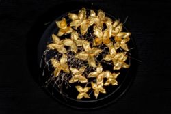 # cironvolution : cupules de hêtre dorées à la feuille d'or et montées en spirale avec brin d'herbe folle doré à l'or blanc Cupules de hêtre dorées à la feuille d'or et montées en spirale avec brin d'herbe folle doré à l'or blanc