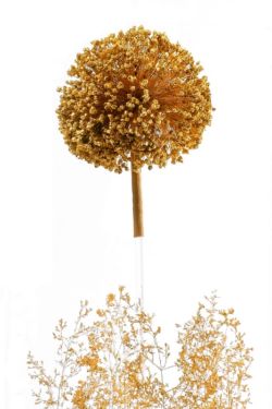 # culture sauvage : fleur de poireau et brins d'herbes folles dorés à la feuille d'or, lichens blancs. Éclairage intégré. Fleur de poireau et brins d'herbes folles dorés à la feuille d'or
