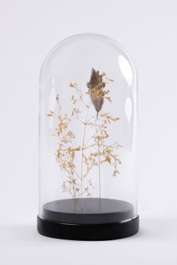 fragments #7 : un brin d'herbe folle dorée à la feuille d'or et une feuille de chêne dorée à l'or Moongold Sculpture avec un brin d'herbe folle dorée à la feuille d'or et une feuille de chêne dorée à l'or Moongold