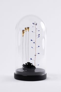 fragments #9 : 3 coquelicots dorés à la feuille d'or avec chapeaux bleus, 1 brin de bourse à pasteur et un lichen noir Sculpture de coquelicots dorés à la feuille d'or avec chapeaux bleus, 1 brin de bourse à pasteur et un lichen noir