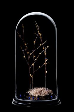 # lisière céleste : brindilles de bouleau avec bouts dorés à la feuille d'or, fleurs de muscaris bleues et or, fruits d'arbre du clergé bleus et lichen naturel Sculpture de brindilles de bouleau avec bouts dorés à la feuille d'or, fleurs de muscaris bleues et or, fruits d'arbre du clergé bleus et lichen naturel