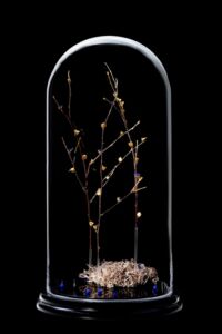 # lisière céleste : brindilles de bouleau avec bouts dorés à la feuille d'or, fleurs de muscaris bleues et or, fruits d'arbre du clergé bleus et lichen naturel Sculpture de brindilles de bouleau avec bouts dorés à la feuille d'or, fleurs de muscaris bleues et or, fruits d'arbre du clergé bleus et lichen naturel