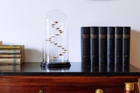 # cironvolution : cupules de hêtre dorées à la feuille d'or et montées en spirale avec brin d'herbe folle doré à l'or blanc Sculpture de cupules de hêtre dorées à la feuille d'or et montées en spirale avec brin d'herbe folle doré à l'or blanc