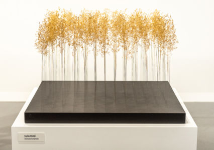 # regarder l'herbe pousser : parterre d'herbes folles dorées à la feuille d'or. Révélations : Brins d'herbes folles dorés à la feuille d'or